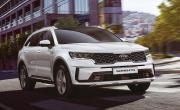 Sorento 1129